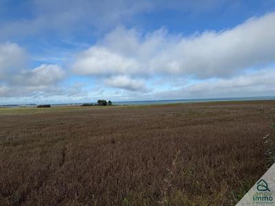 Maison - 50 m² - 2 pièces