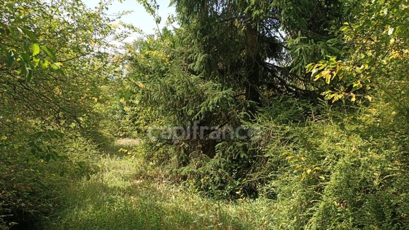 Terrain constructible - 836 m²