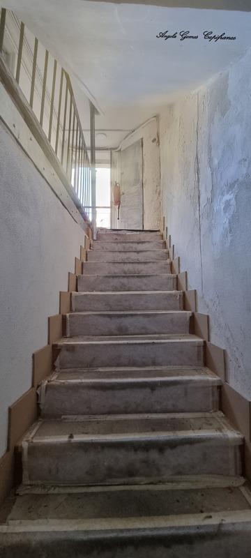 Appartement - 16 m² - 1 pièce