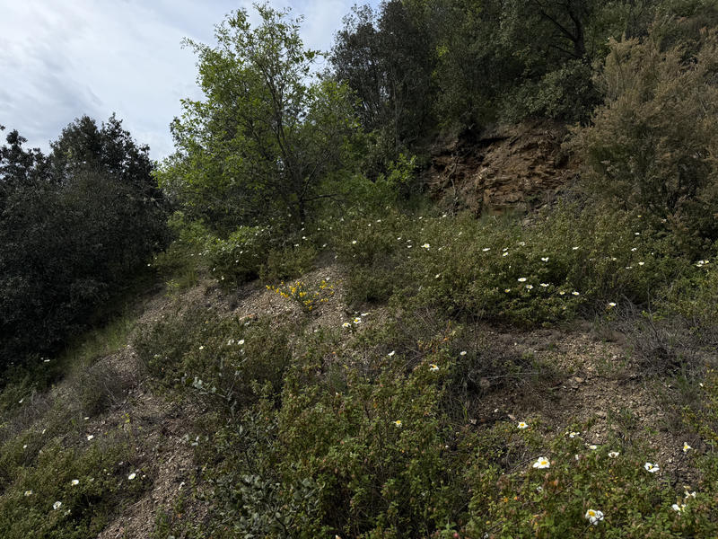 Terrain agricole - 5 780 m²