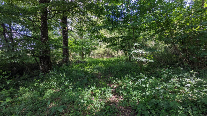 Terrain - 45 170 m²