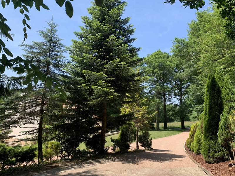 Maison - 245 m² - 6 pièces