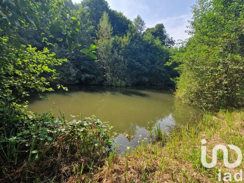 Terrain - 10 000 m²