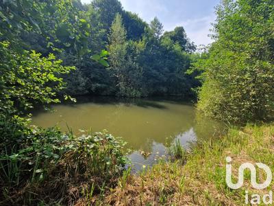 Terrain - 10 000 m²