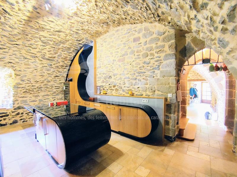 Château - 450 m² - 12 pièces