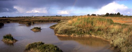 Réserve Naturelle des Marais de Séné