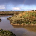 Réserve Naturelle des Marais de Séné