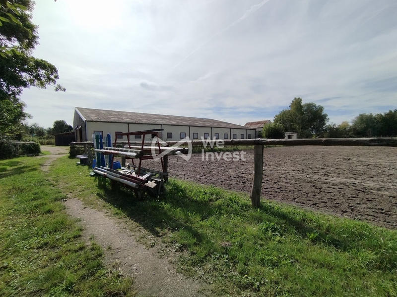 Local d'activités - 1 200 m² - 1 pièce