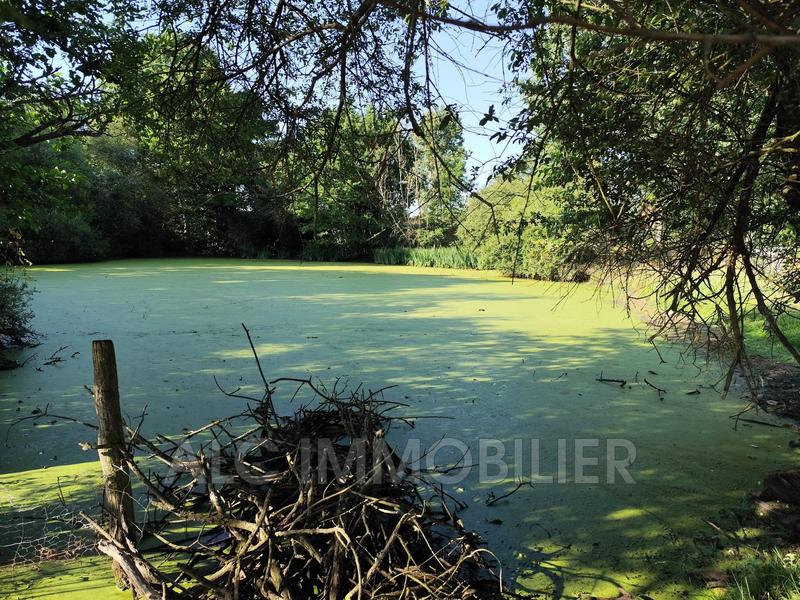 Maison - 71 m² - 3 pièces