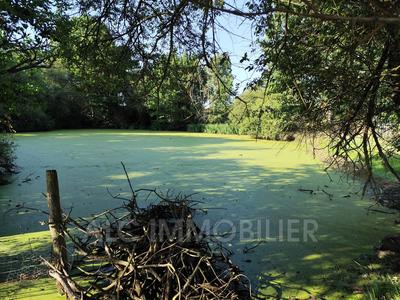 Maison - 71 m² - 3 pièces