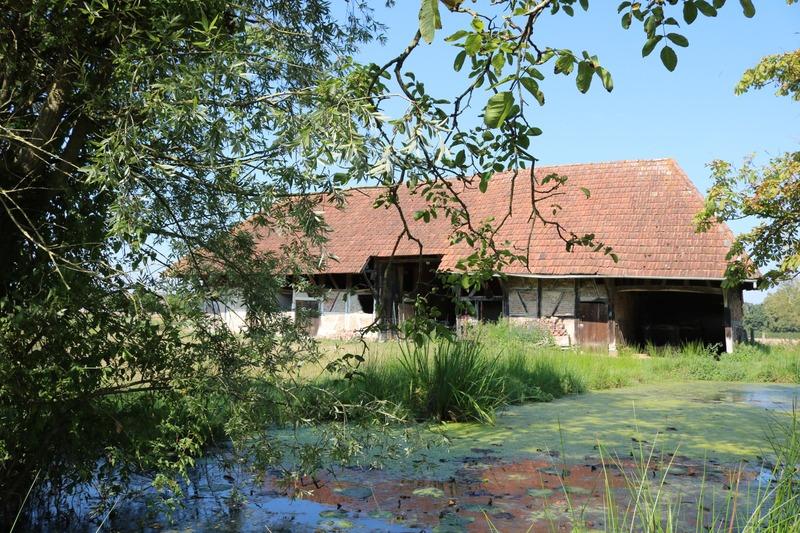 Corps de ferme - 198 m² - 5 pièces