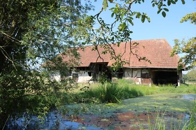 Corps de ferme - 198 m² - 5 pièces