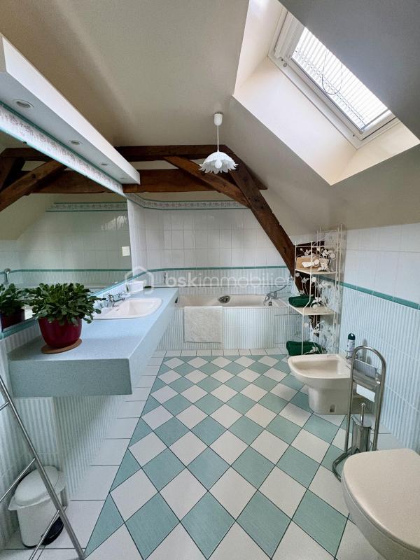 Moulin - 297 m² - 9 pièces