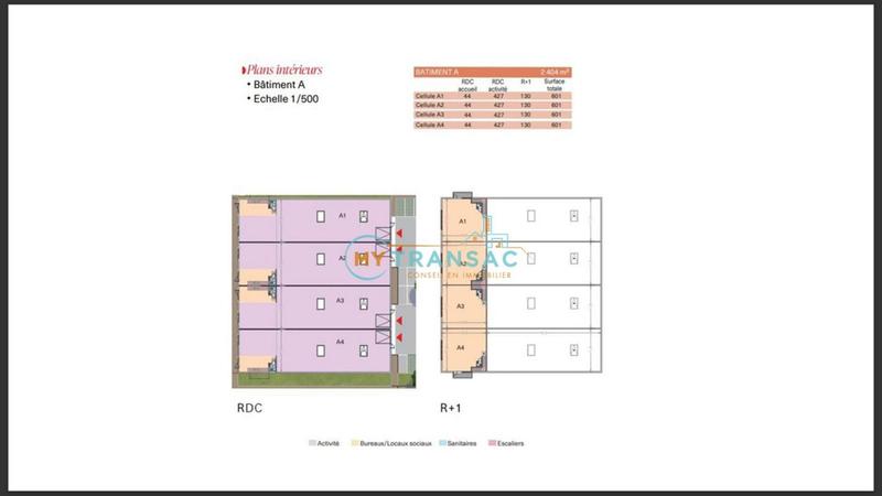 Local d'activité / Entrepôt - 601 m²