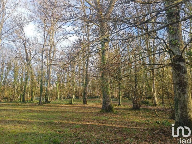 Maison - 118 m² - 5 pièces