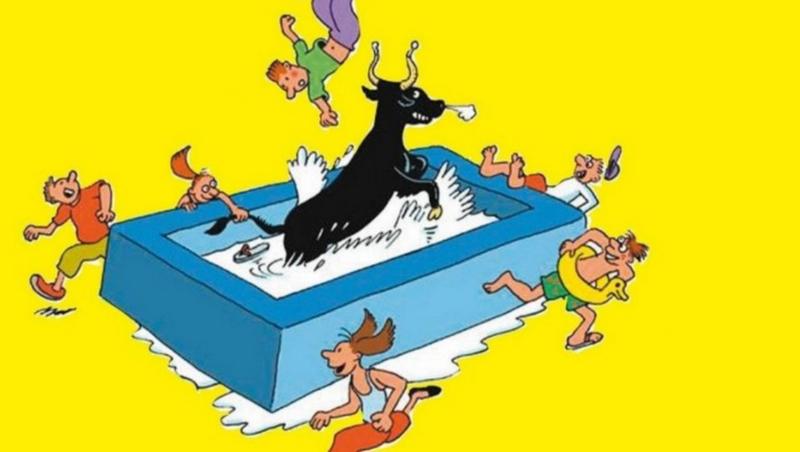 Club Taurin  - Taureaux Piscine