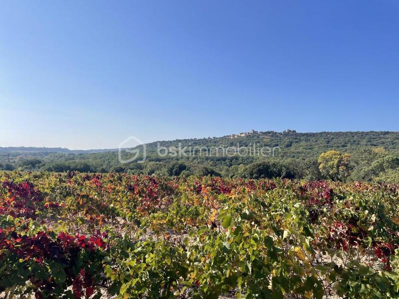 Terrain agricole - 45 000 m²