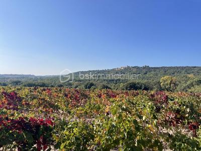 Terrain agricole - 45 000 m²