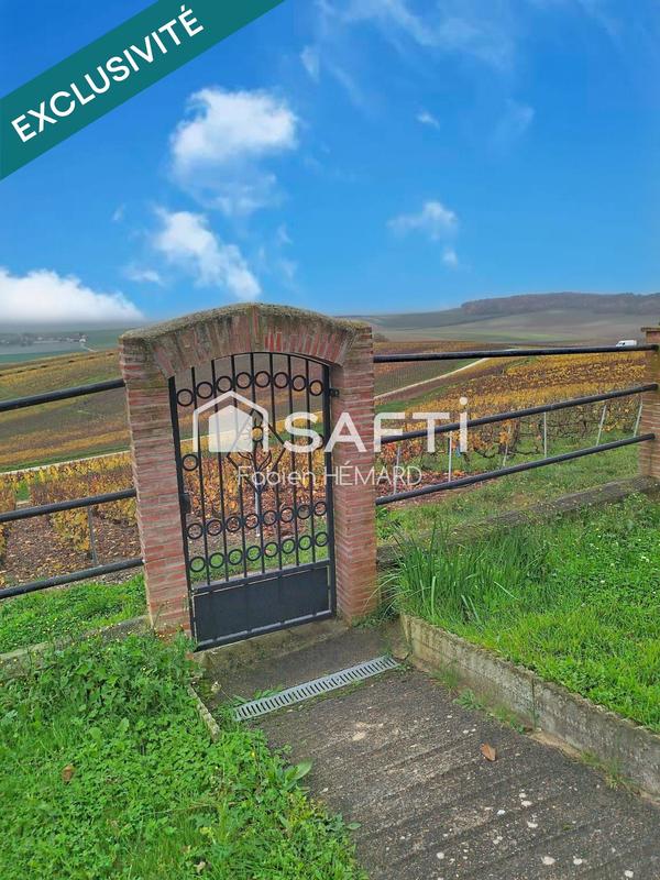 Maison - 301 m² - 10 pièces