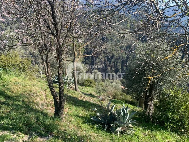 Viager - Maison - 60 m² - 3 pièces