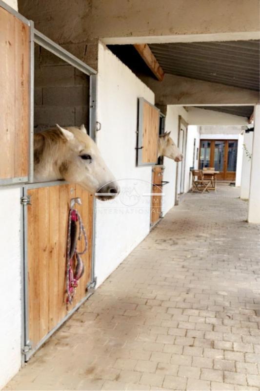 Maison de domaine équestre - 400 m² - 14 pièces