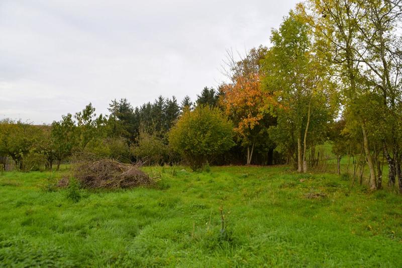 Terrain constructible - 1 778 m²