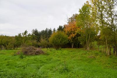 Terrain constructible - 1 778 m²