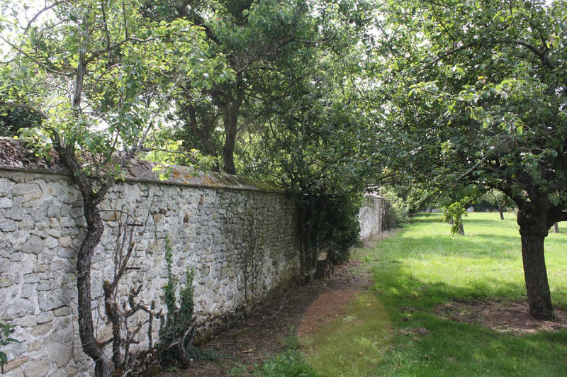 Terrain constructible - 441 m²