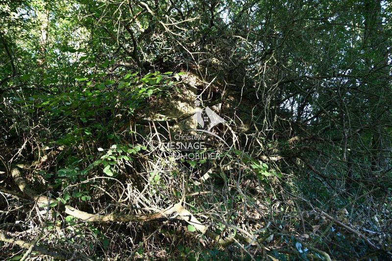 Maison en pierre - 110 m² - 5 pièces