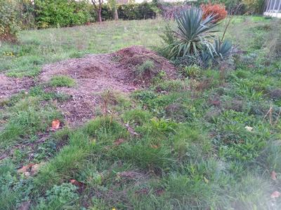 Terrain constructible - 316 m²