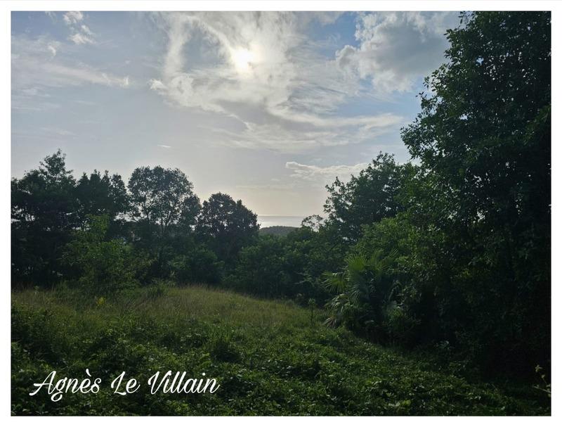 Terrain constructible - 2 983 m²