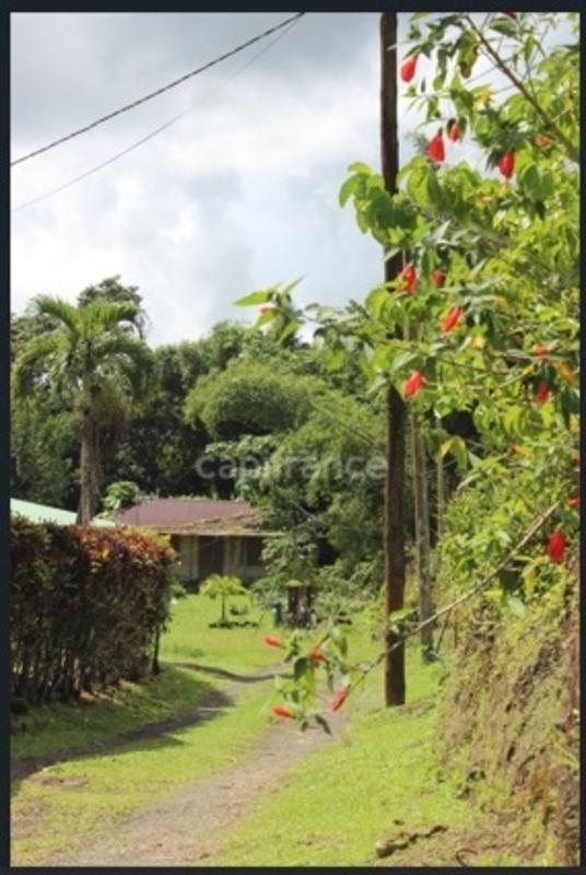 Terrain constructible - 6 130 m²