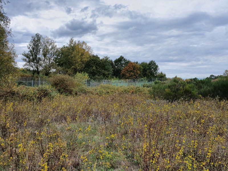 Terrain constructible - 3 352 m²