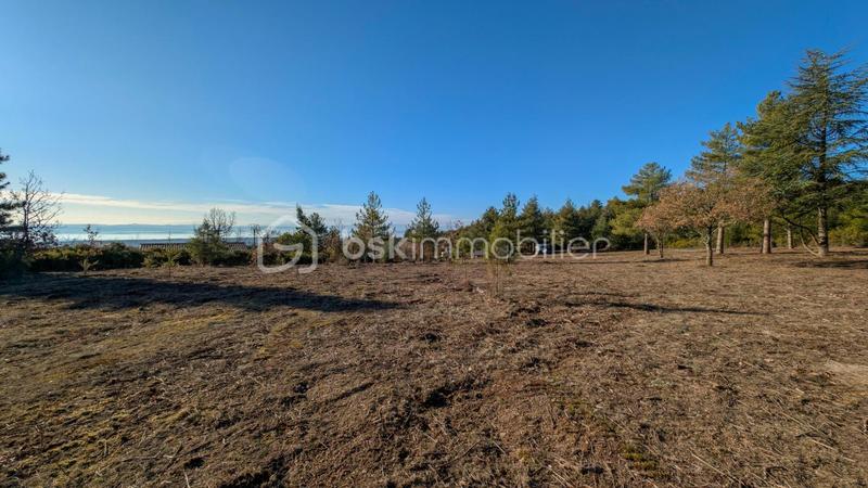 Terrain - 8 009 m²