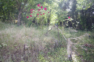 Maison - 80 m² - 5 pièces