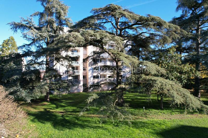 Appartement - 54 m² - 2 pièces