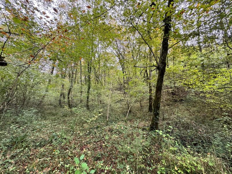 Terrain - 82 016 m²