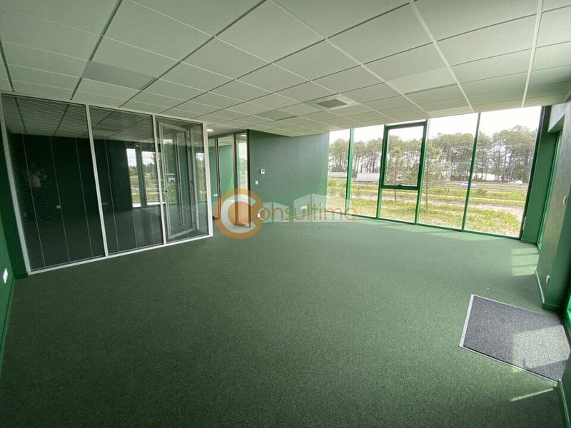 Local d'activité / Entrepôt - 782 m²
