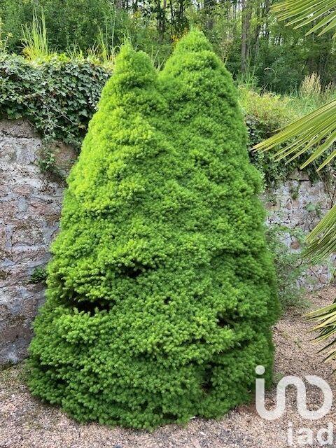 Maison de campagne - 210 m² - 10 pièces