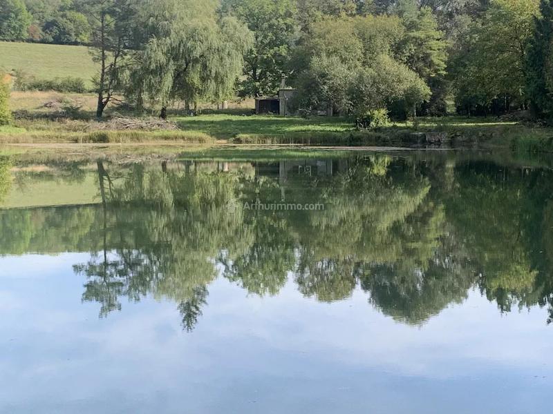 Terrain - 16 926 m²