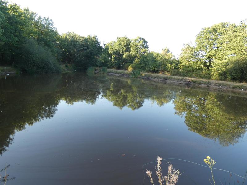 Terrain de loisirs - 11 460 m²