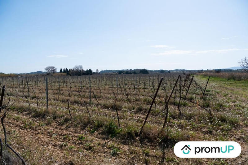 Terrain agricole - 41 115 m²