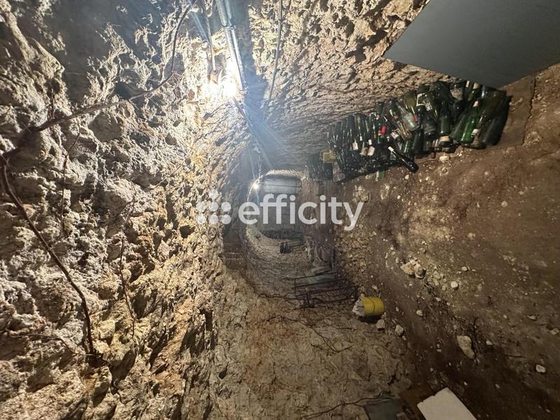 Maison - 380 m² - 14 pièces