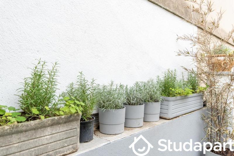 Appartement - 28 m² - 1 pièce