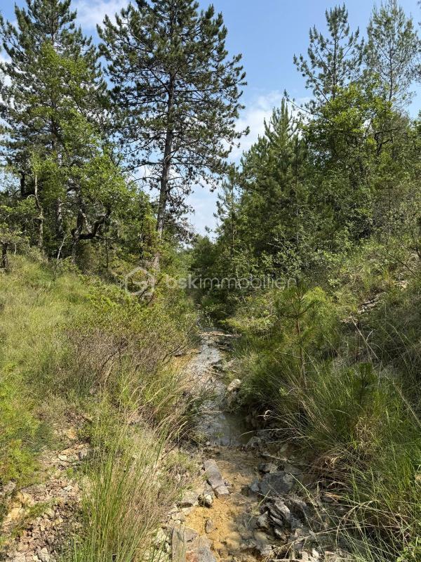 Terrain de loisirs - 8 658 m²