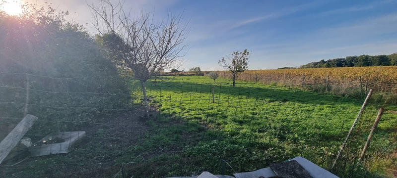 Maison - 299 m² - 11 pièces