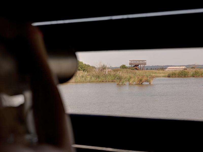 Sortie crépusculaire à Terres d'Oiseaux