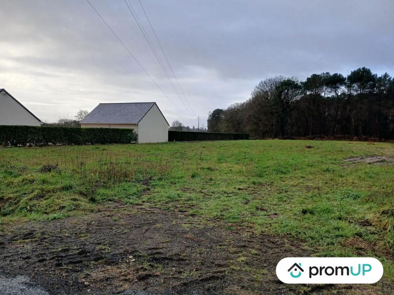 Terrain de loisirs - 4 000 m²