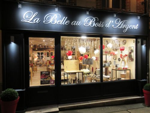 La Belle au Bois d'Argent