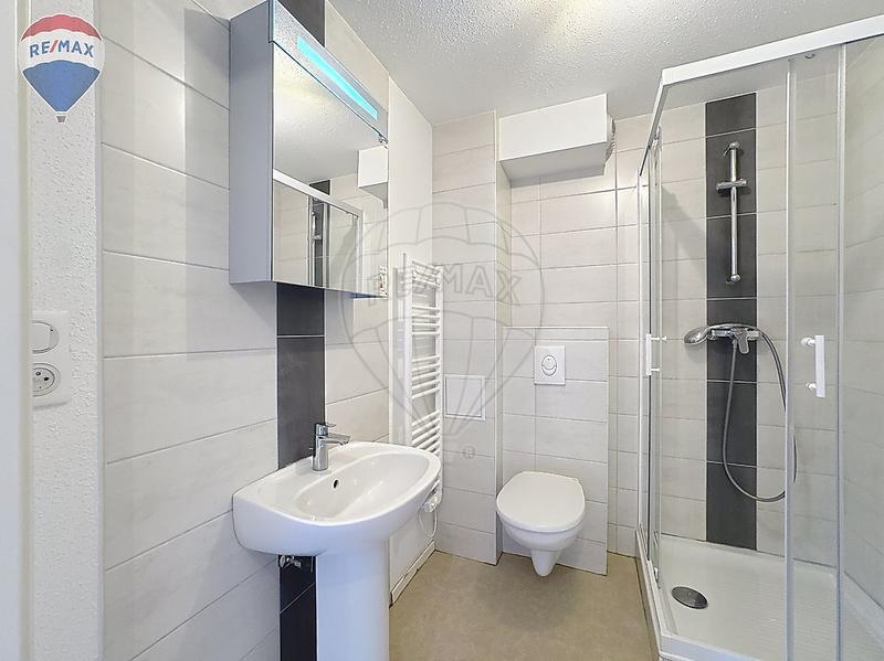 Studio - 24 m² - 1 pièce